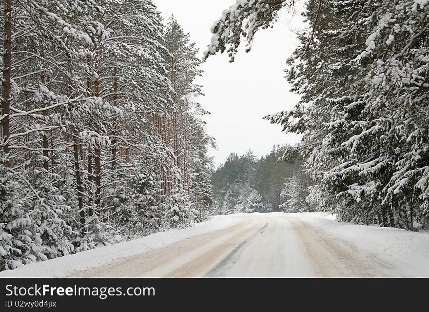 Country road in white snow. Country road in white snow