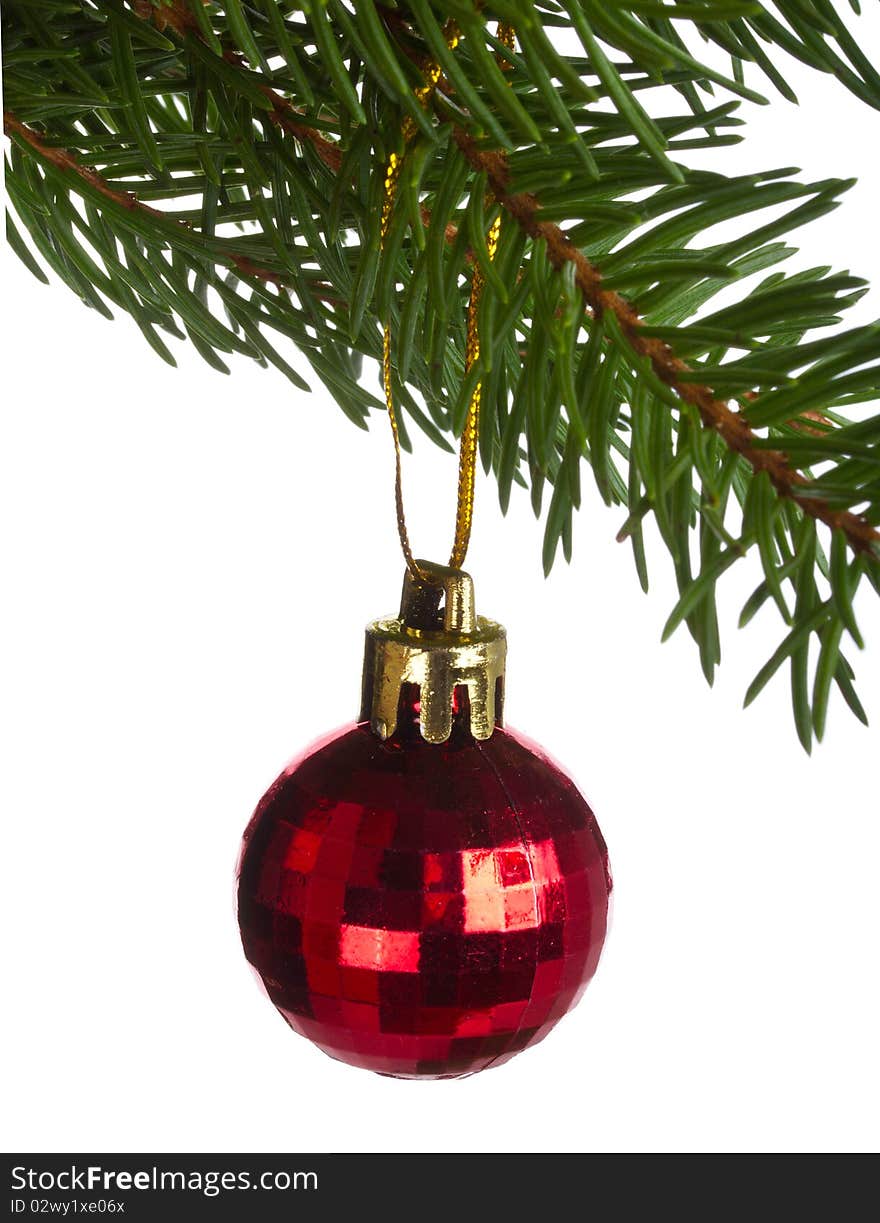 Close-up red ball on fir tree branch, isolated on white