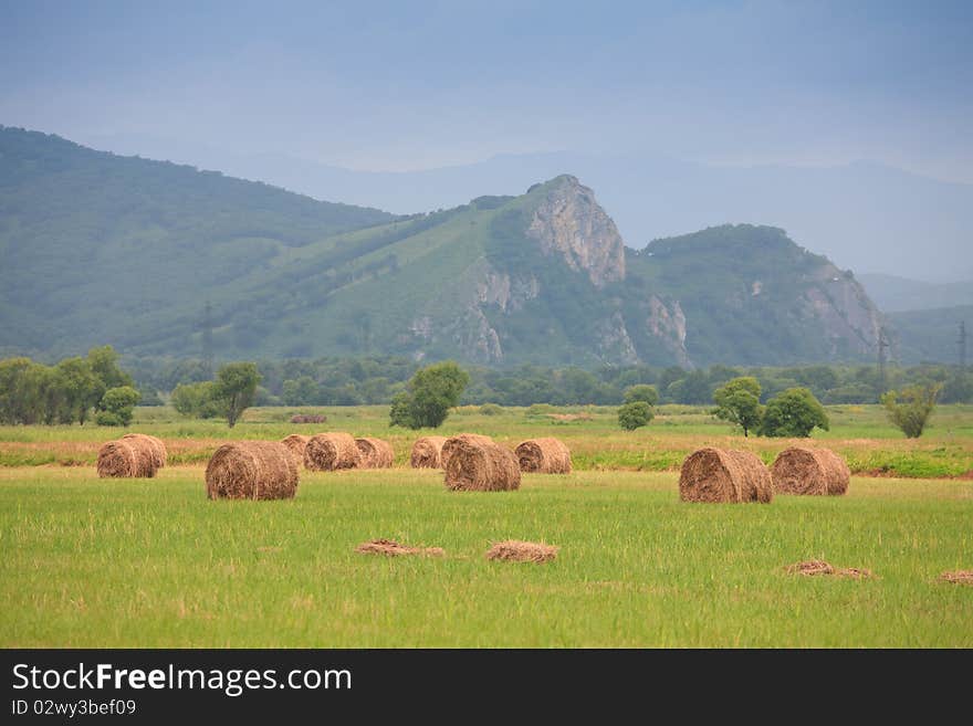 Neat haystacks on the background field and the nature