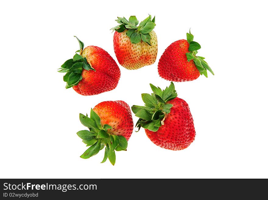 Red strawberry on white background