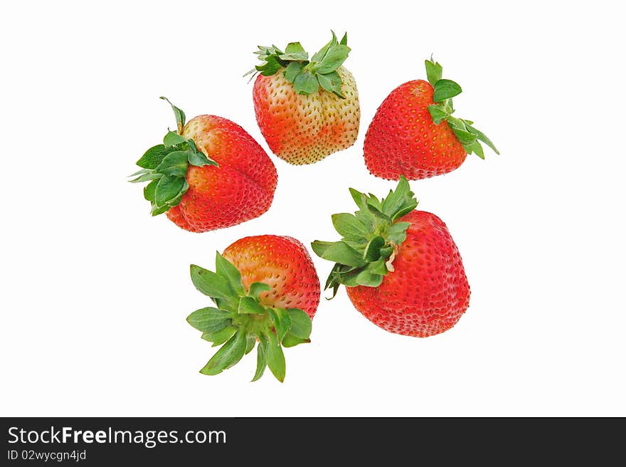 Red strawberry on white background