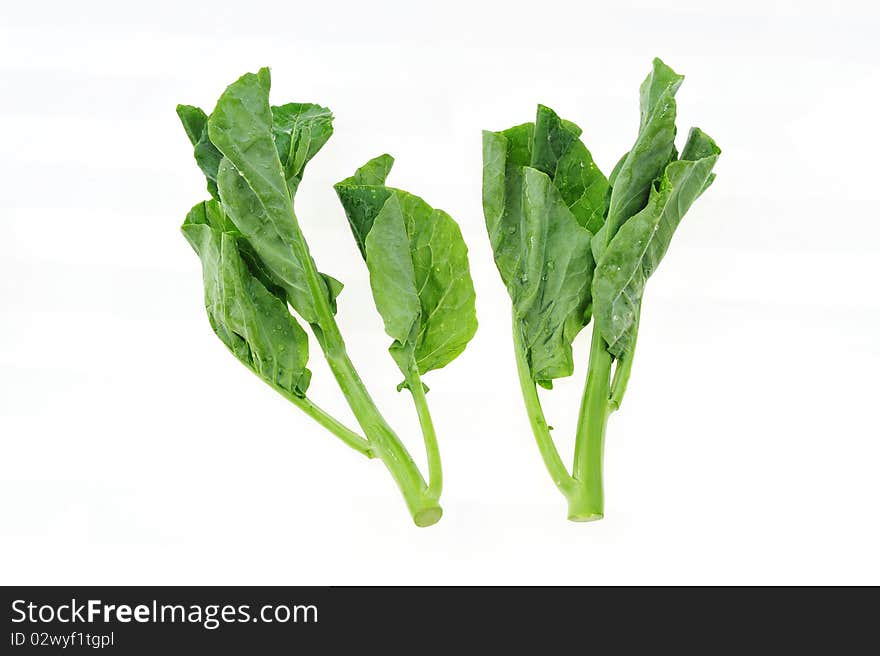 Green vegetable on white background