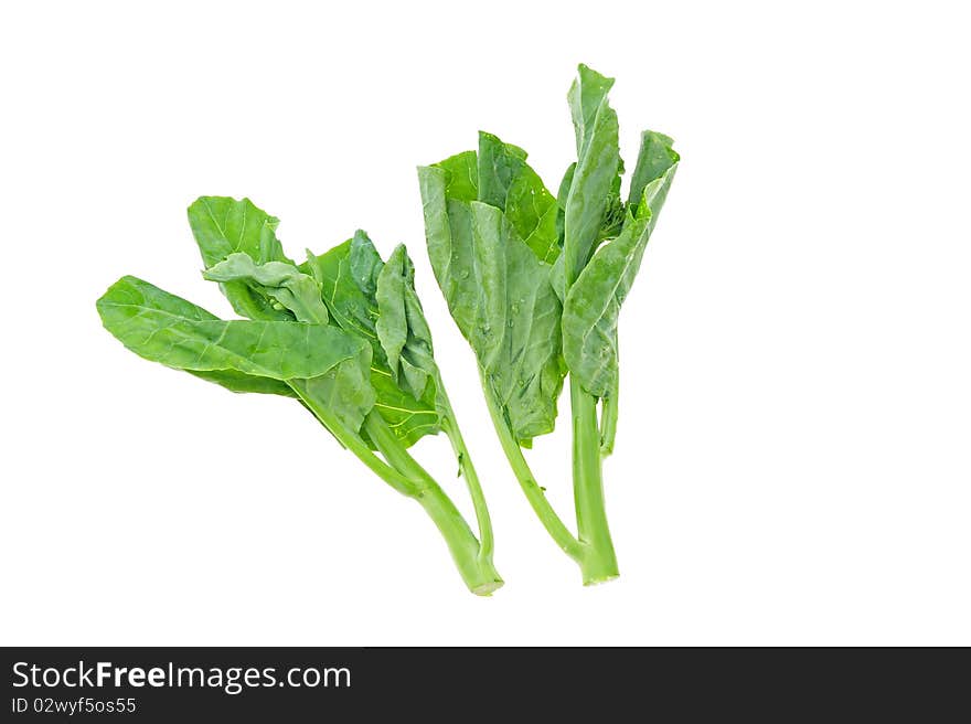 Green vegetable on white background