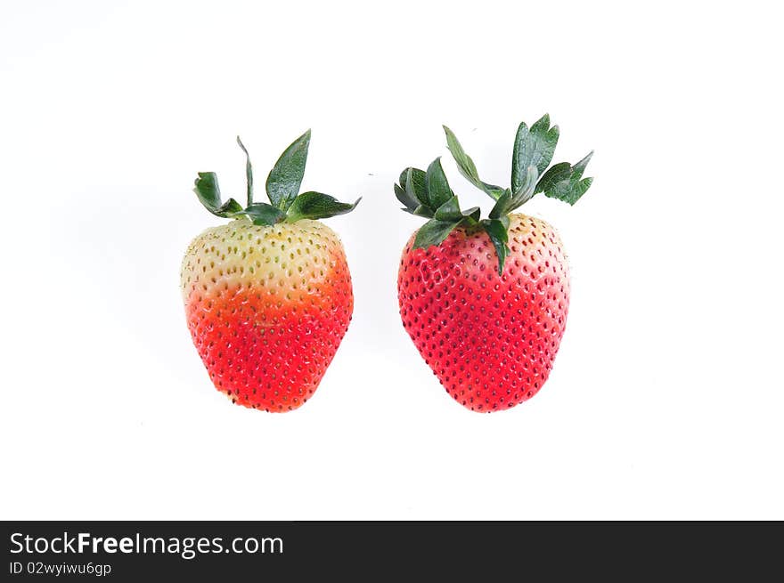 Red strawberry on white background