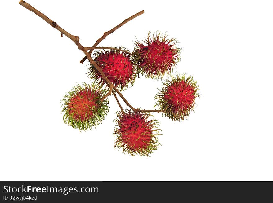 Rambutan Fruit