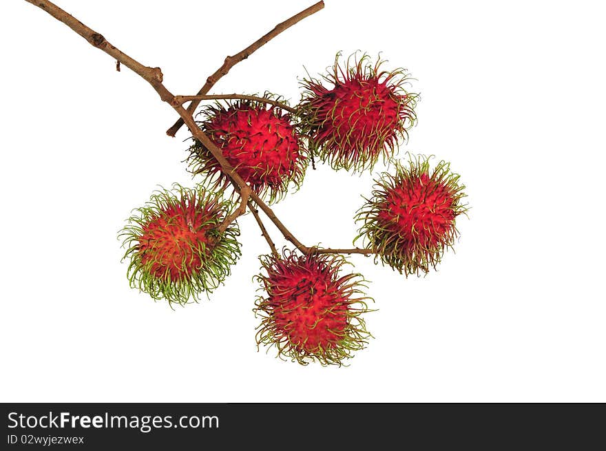 Red Rambutan Fruit