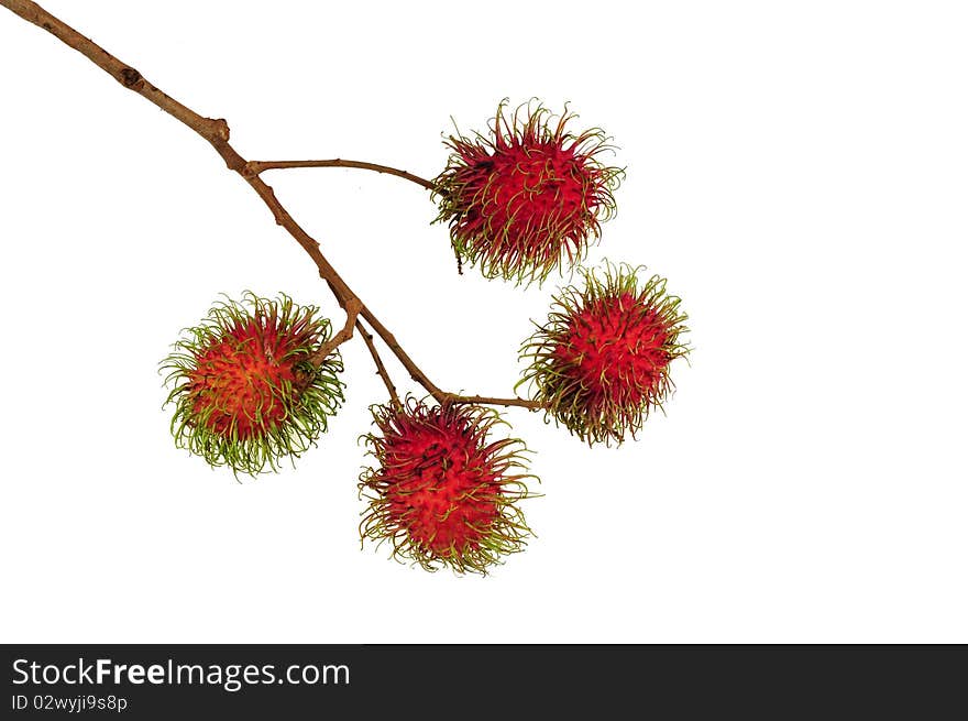 Rambutan Fruit