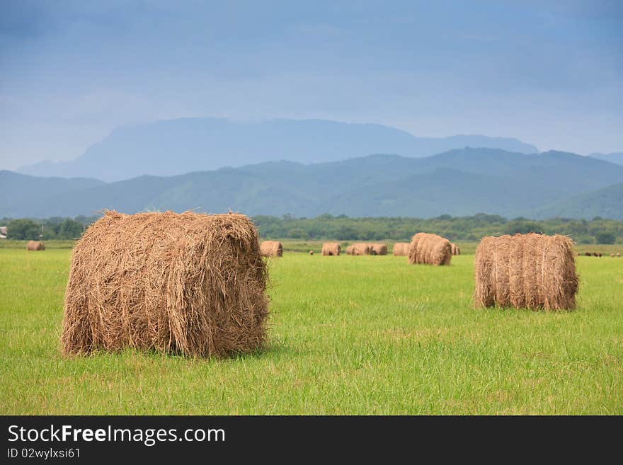 Neat haystacks on the background field and the nature