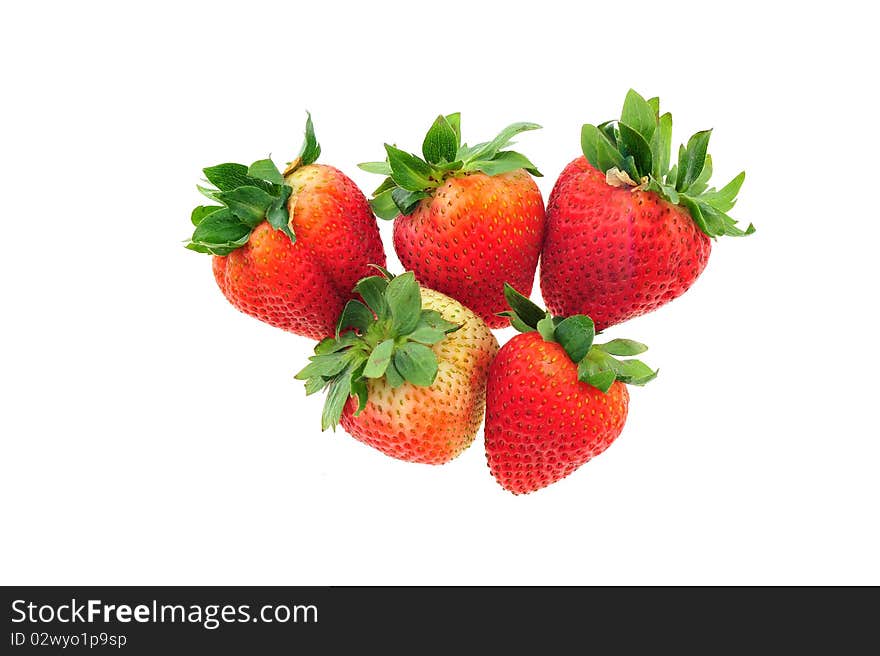 Red strawberry on white background