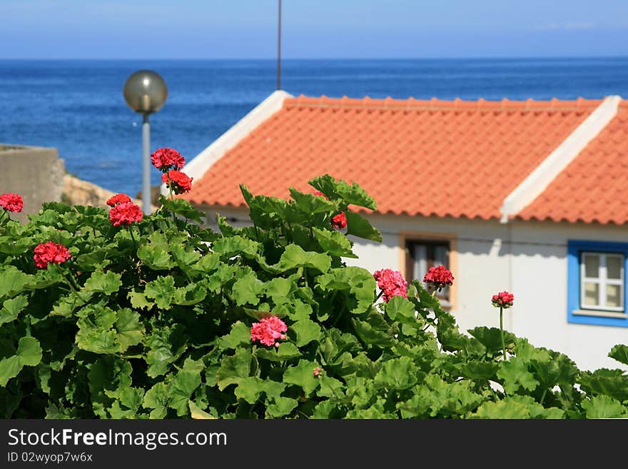 View on red roof, flowers and ocean. View on red roof, flowers and ocean