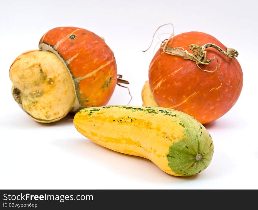 Mini Pumpkins Isolated on a White Background