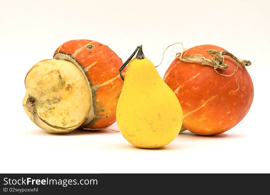 Mini Pumpkins Isolated On A White