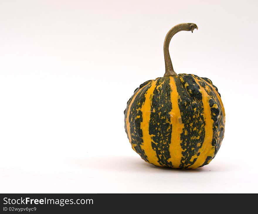 Colorful mini pumpkin isolated on white background