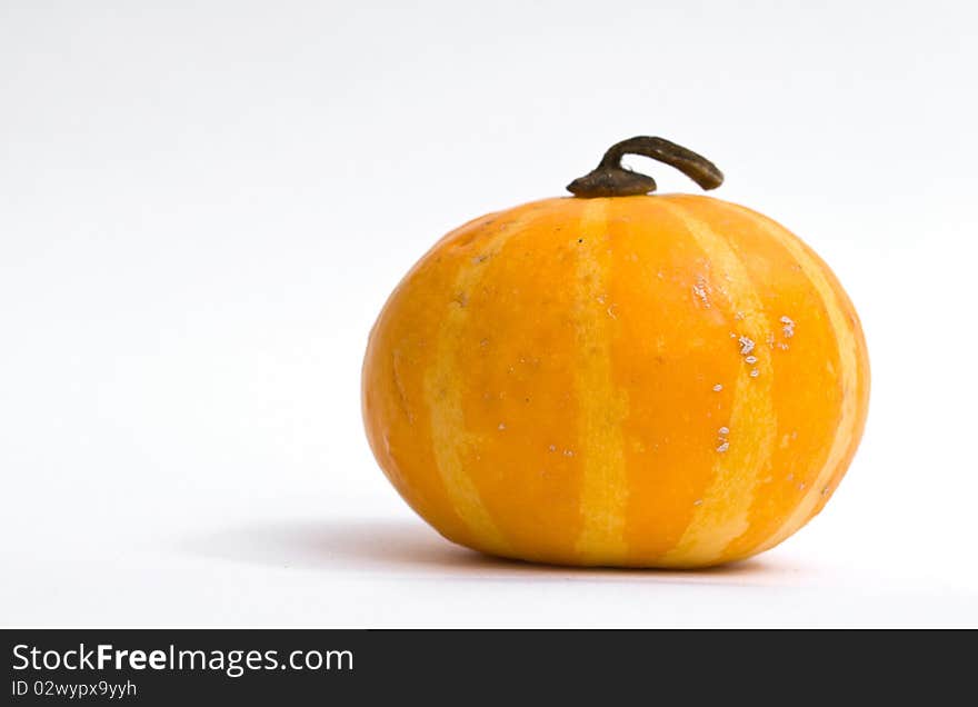 Colorful mini pumpkin isolated on white