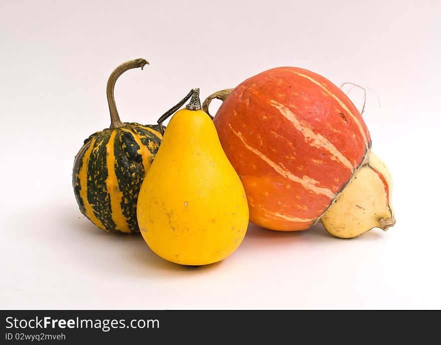 Mini Pumpkins Isolated on a White Background