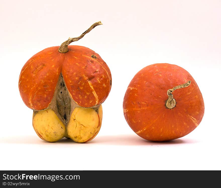 Mini Pumpkins Isolated on a White