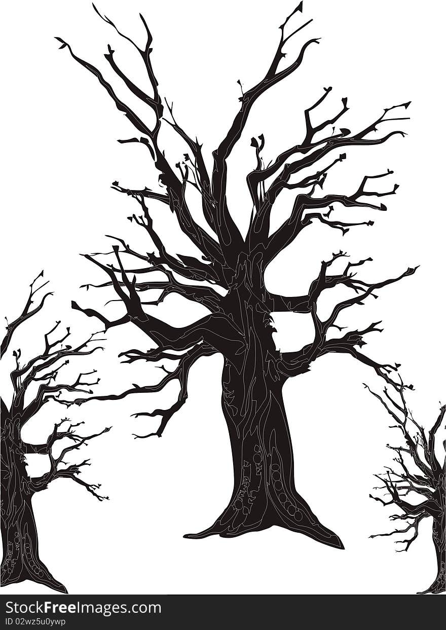 Illustration of trees without leaves a white background