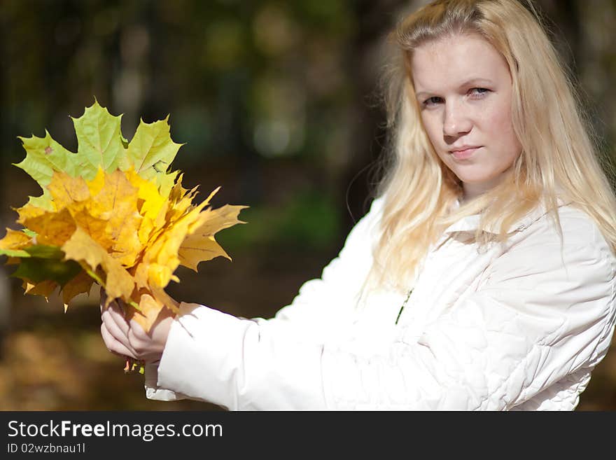 Pretty girl with maple leaves in her hands