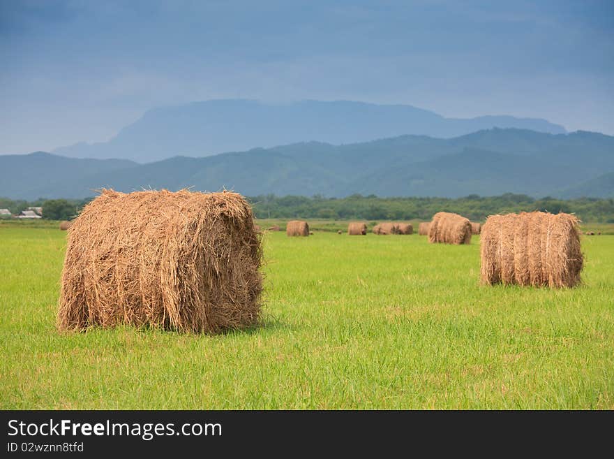 Neat haystacks on the background field and the nature. Neat haystacks on the background field and the nature