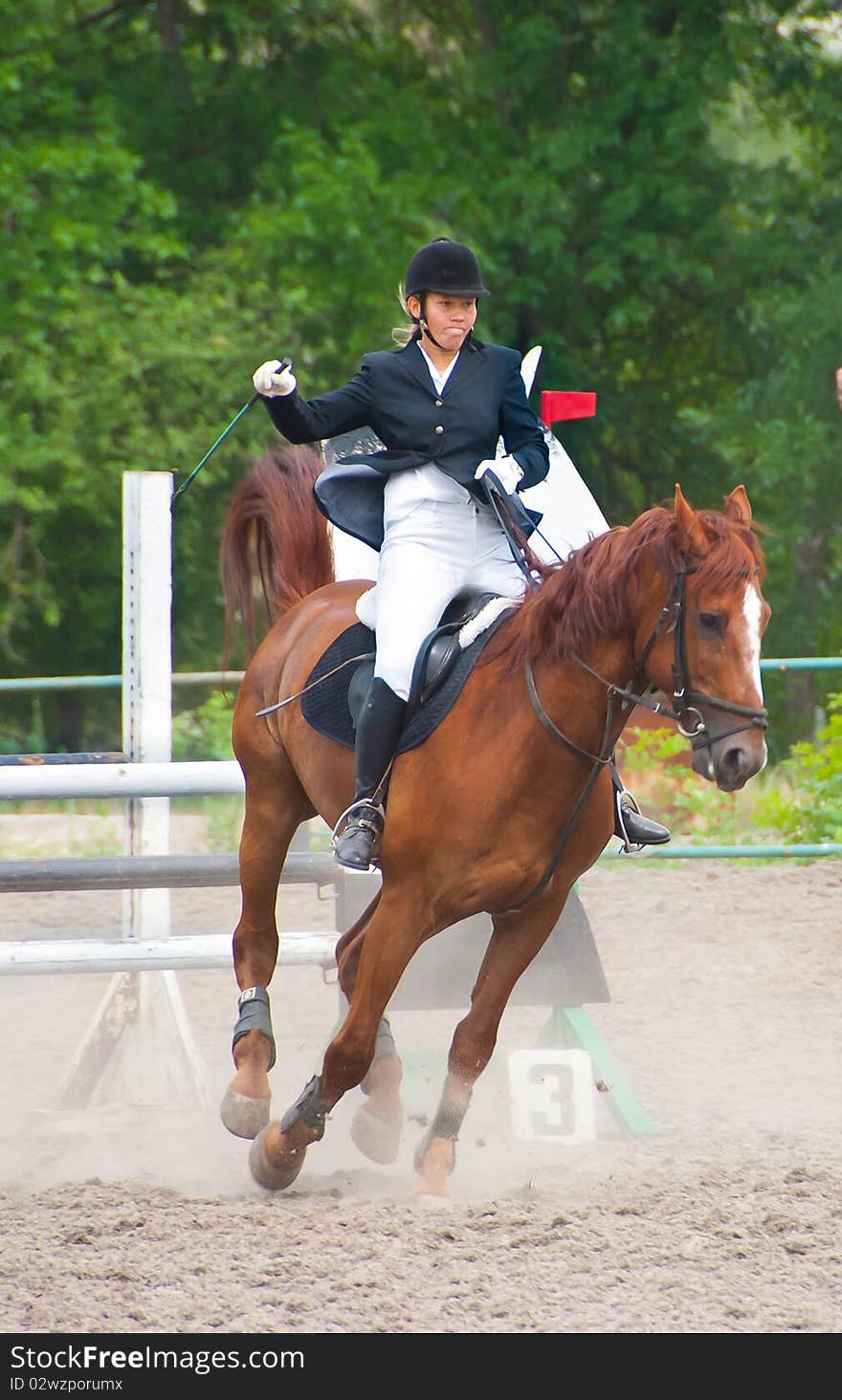 Jockey riding a horse