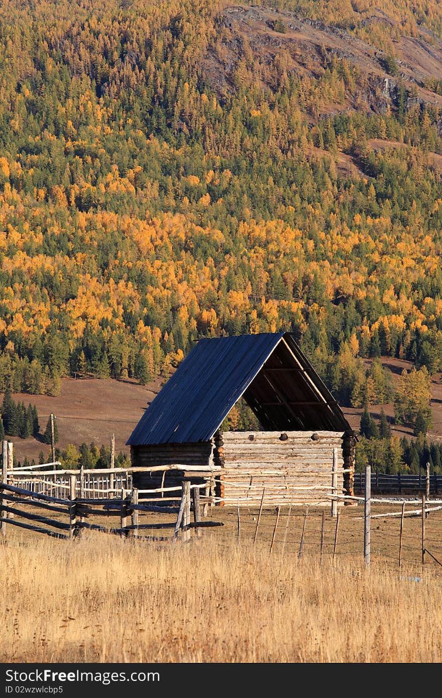 Beautiful farm in the afternoon