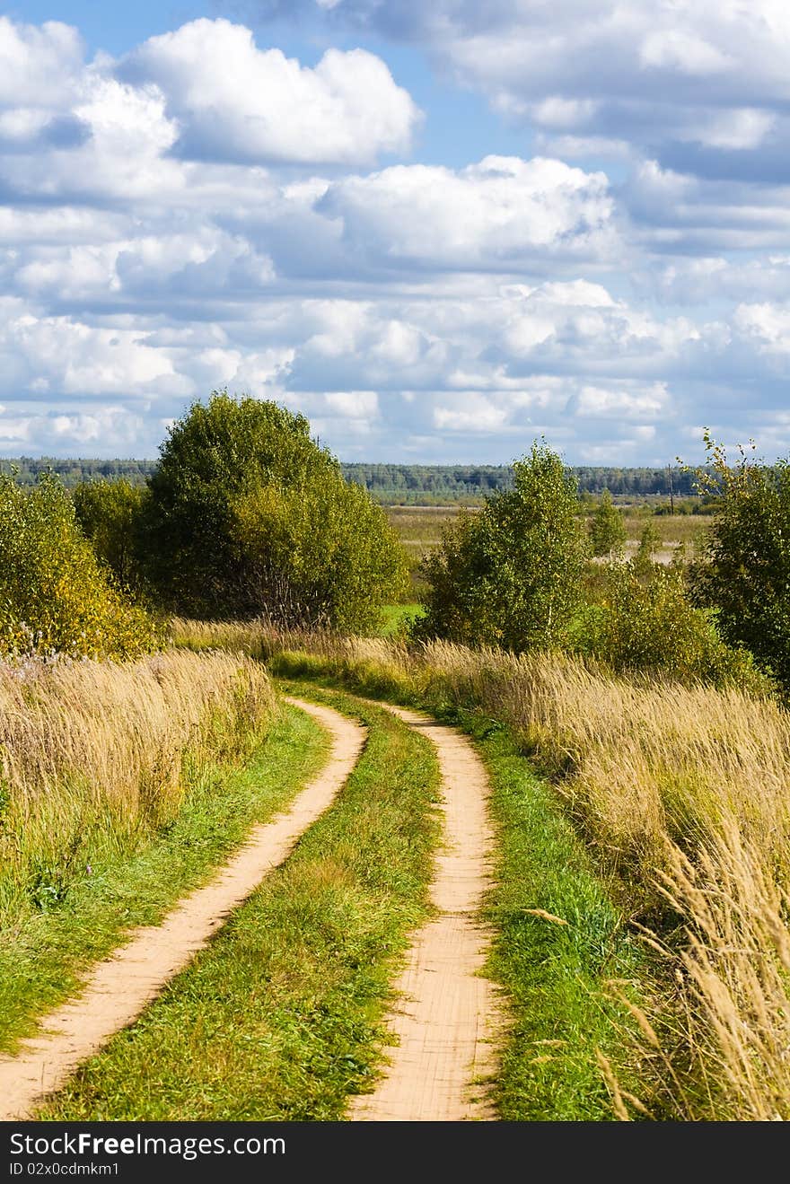 Road In Field