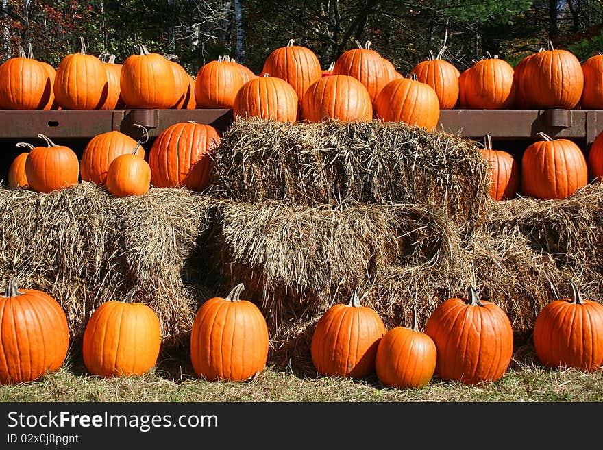 Bright orange pumpkins in rows on hay bales at country market in Maine