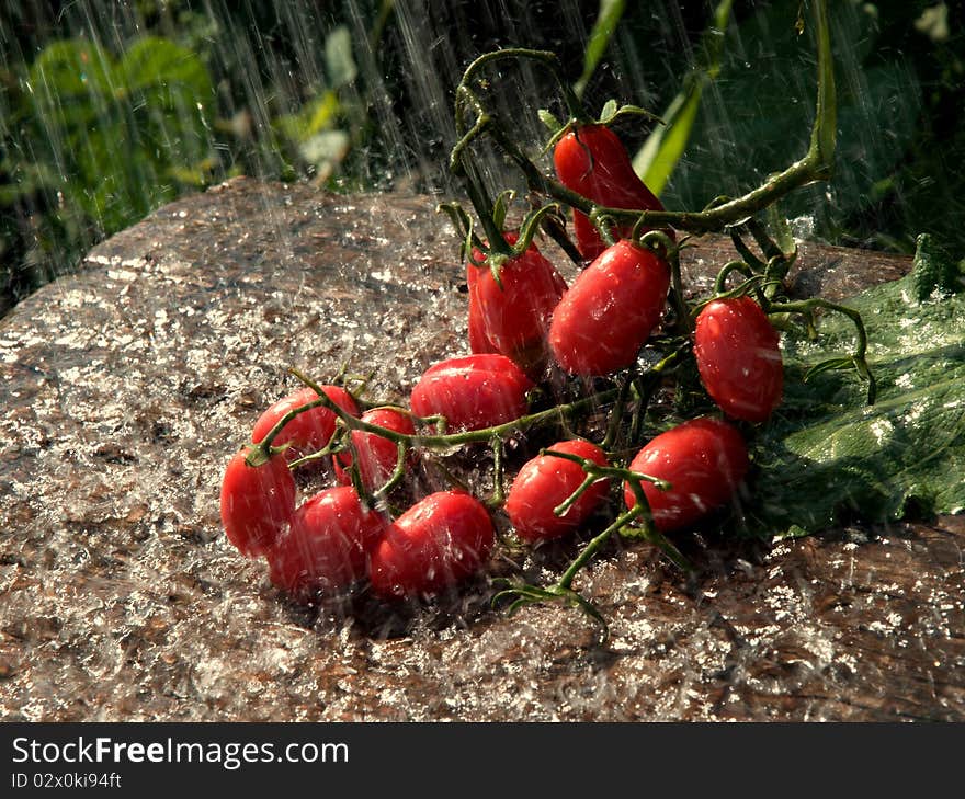 Little tomatoes