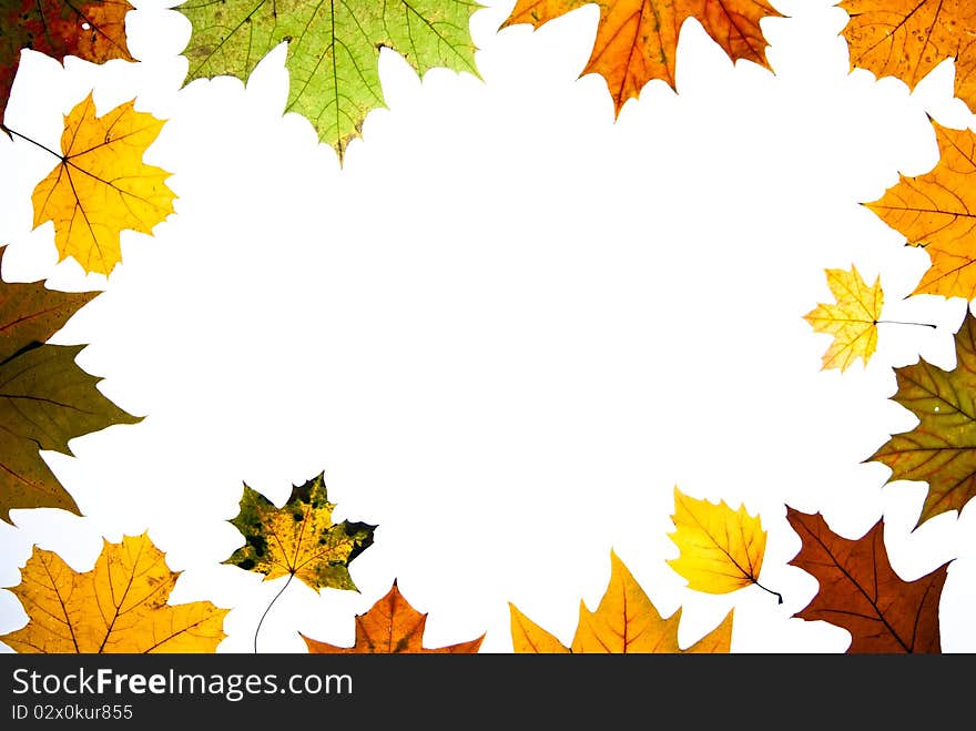 Autumn leaves space for text centered