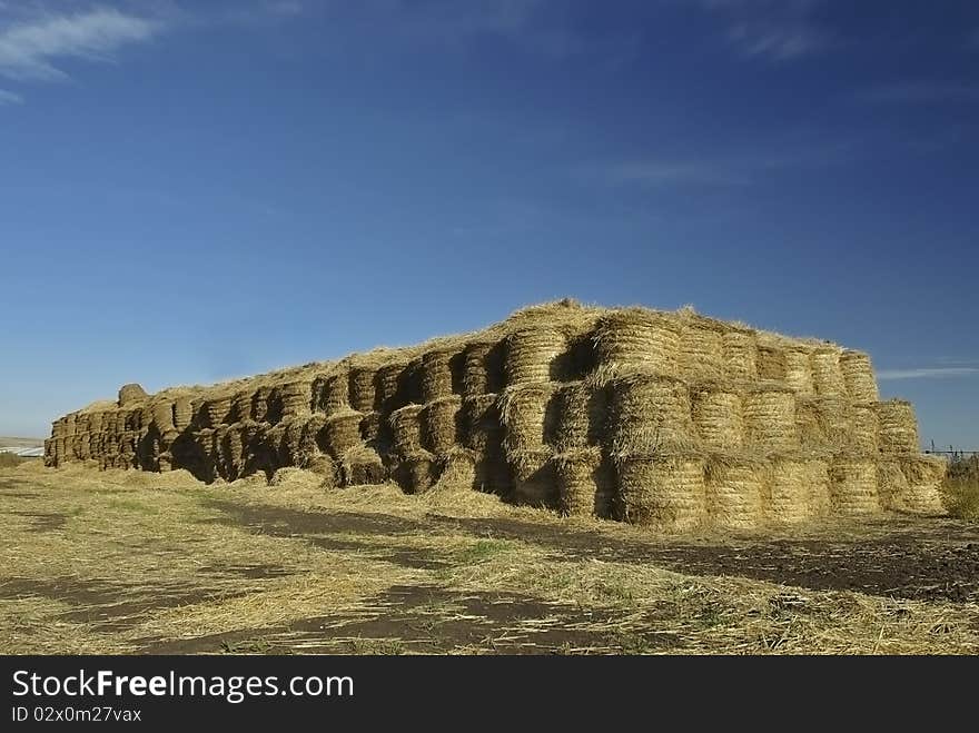 Stack of straw against the dark blue sky