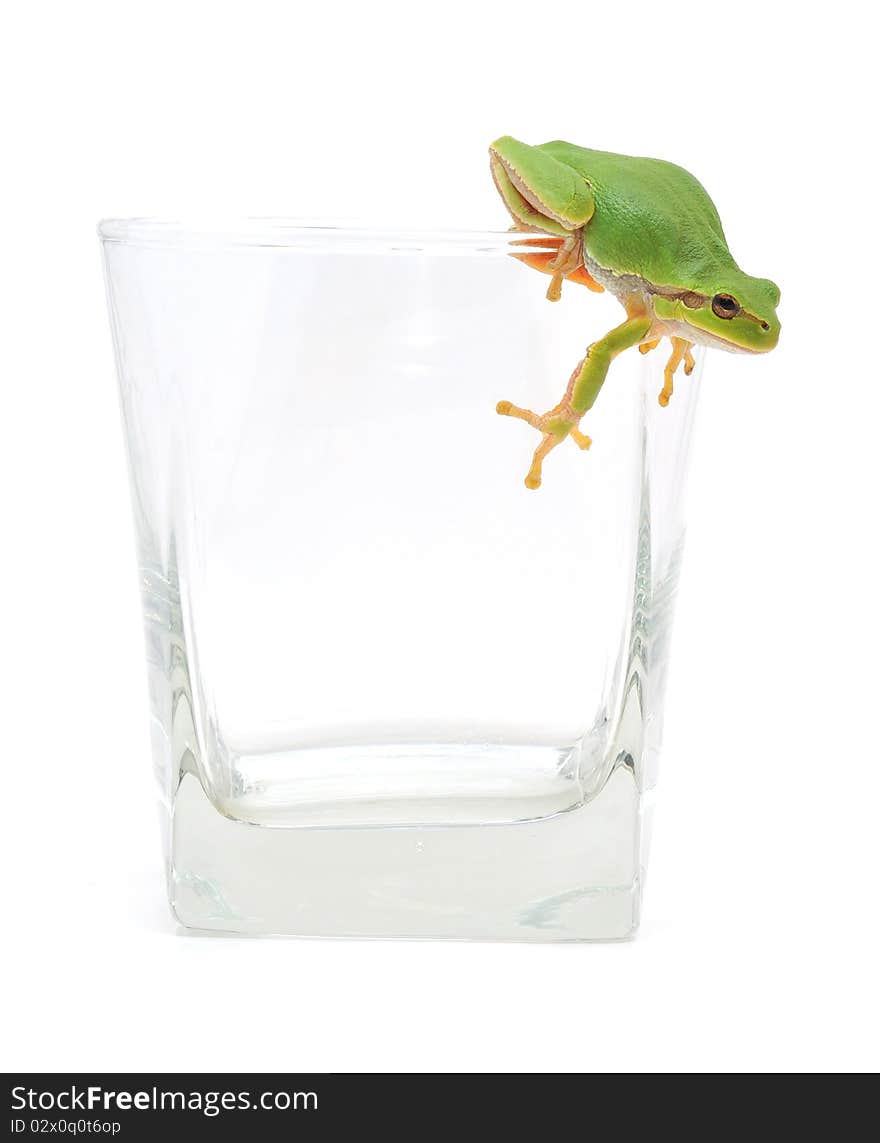 Frog In Glassful