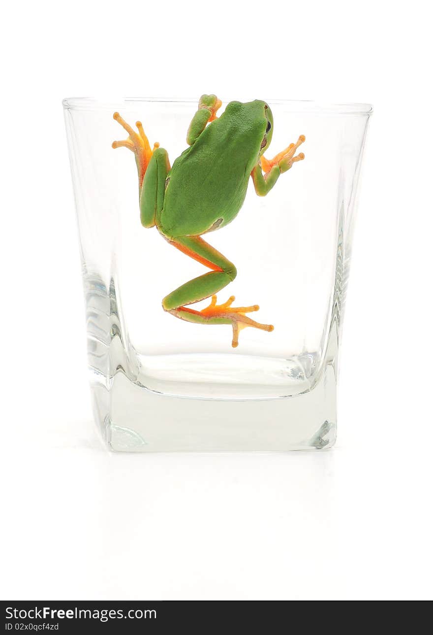 Frog In Glassful