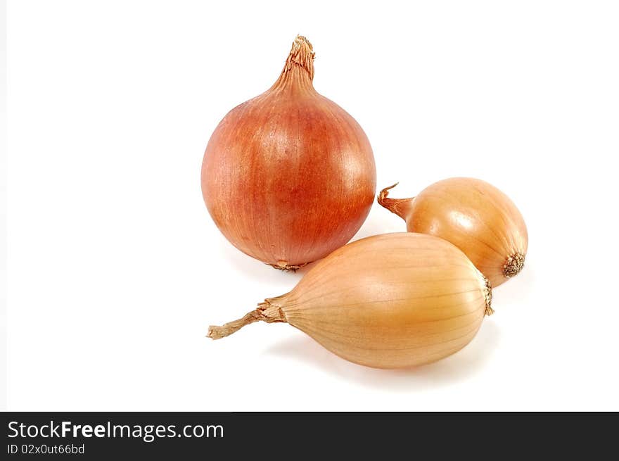 The onions are isolated on a white background. The onions are isolated on a white background