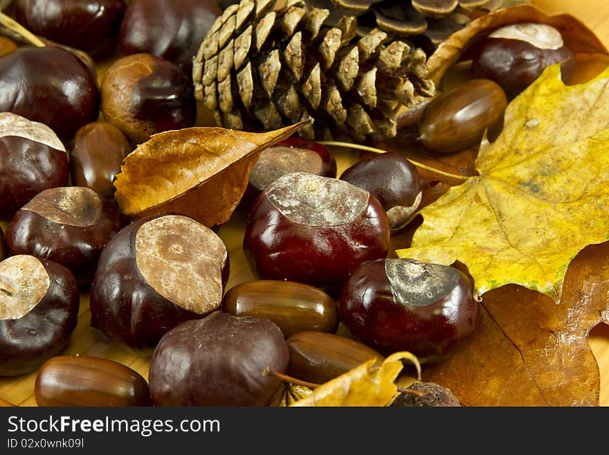 An autumn background created of leaves, cones, chestnuts and acorns. An autumn background created of leaves, cones, chestnuts and acorns