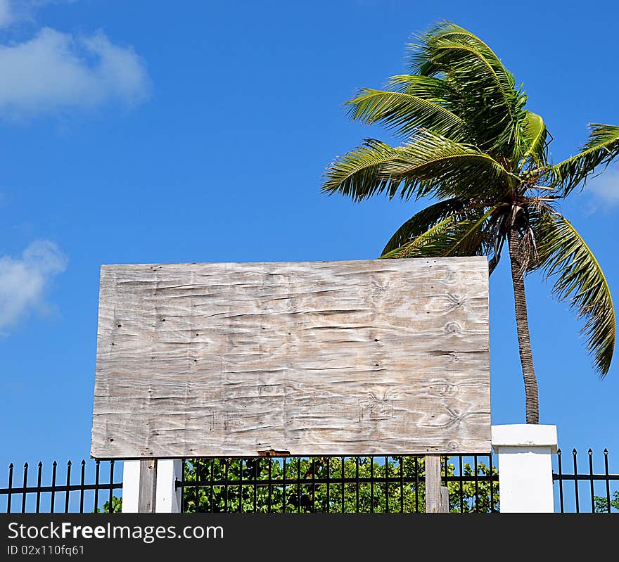 A blank plywood sign in tropical location with room for text