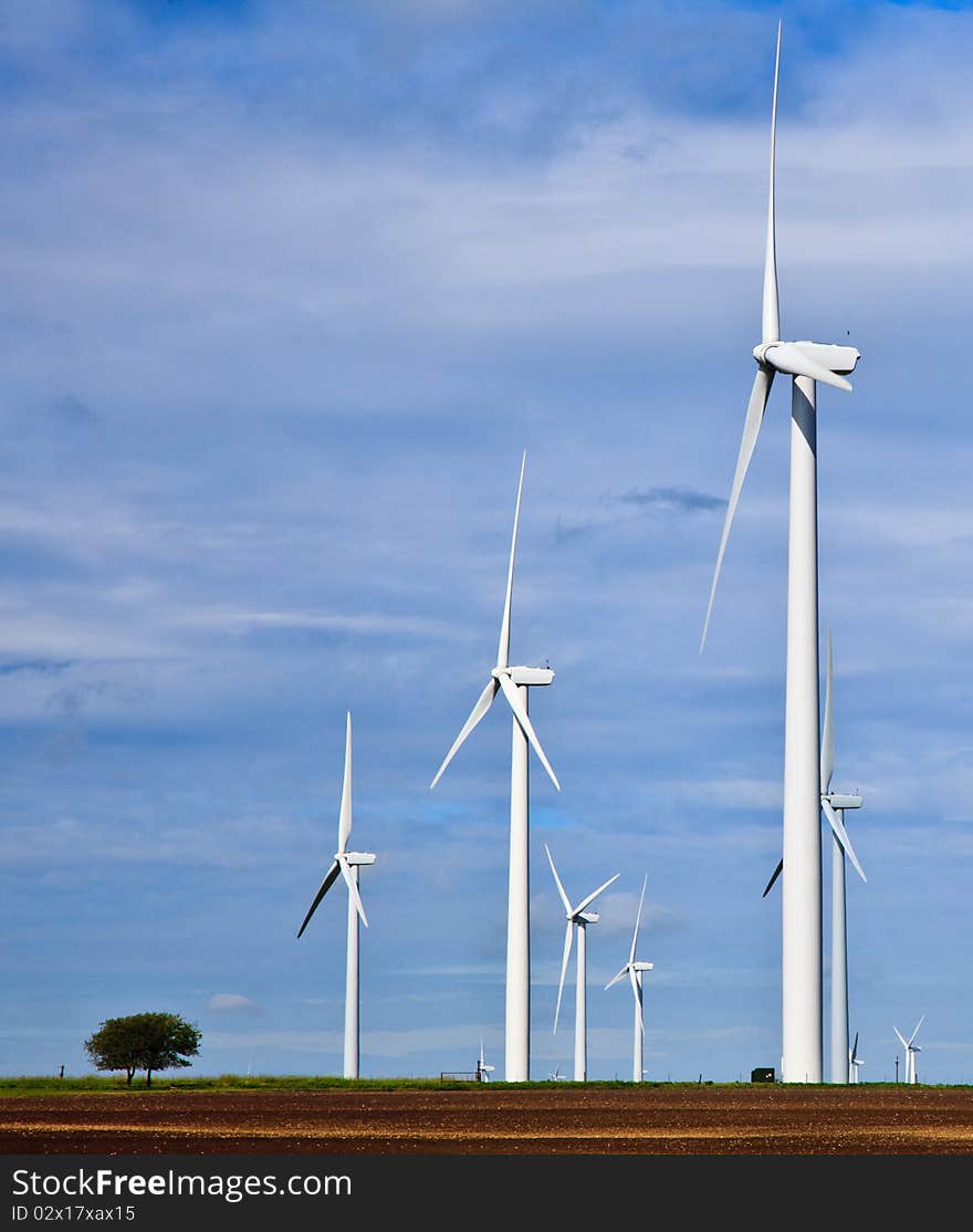 Sky full of windmills and a lone tree on a prairie. Sky full of windmills and a lone tree on a prairie