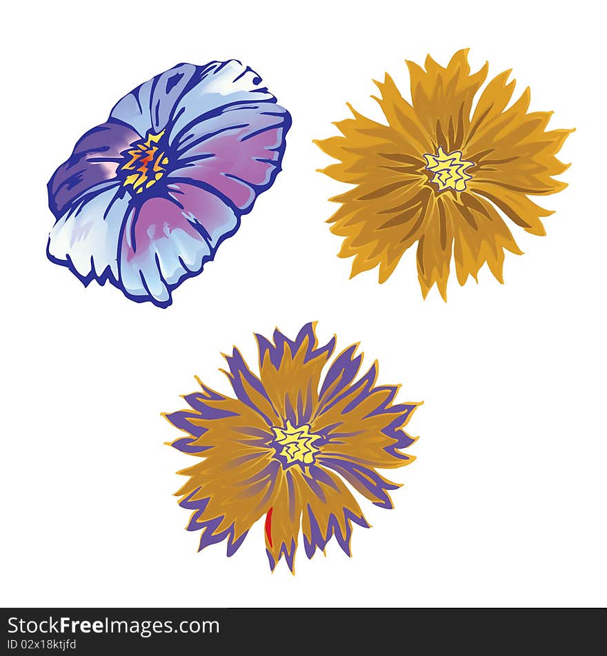 Decorative flowers on white background