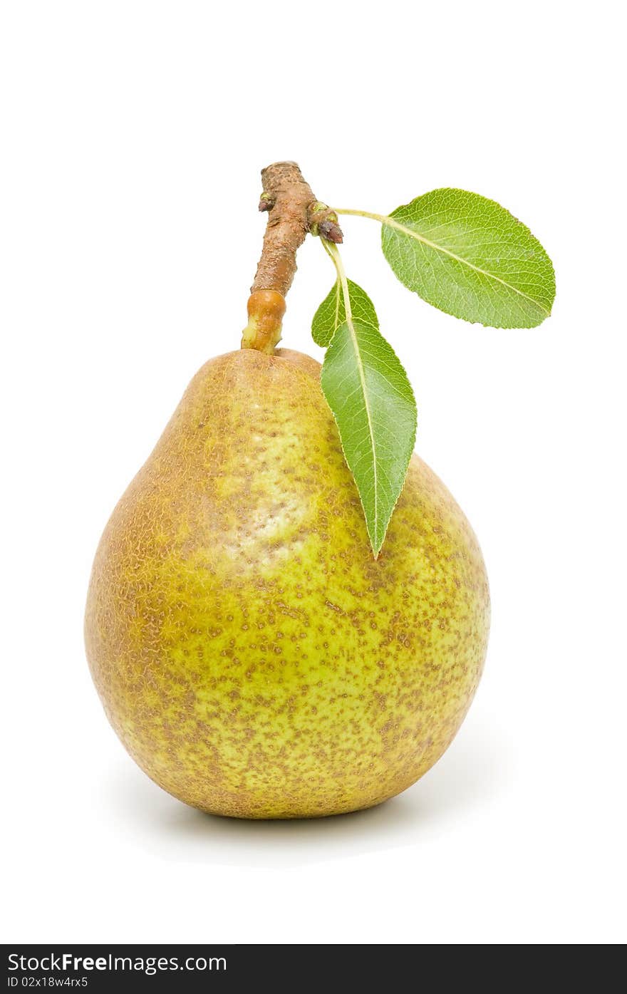 Ecological pear