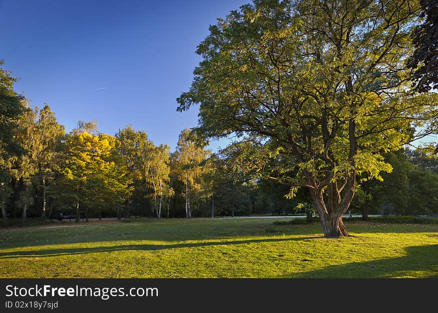 Autumn park.
Tiergarten Berlin Oktober. Autumn park.
Tiergarten Berlin Oktober