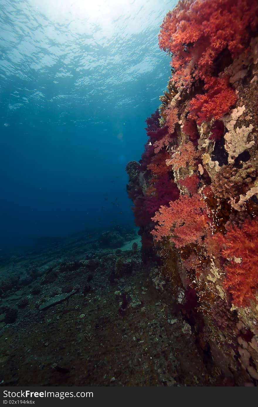 Cargo of the Yolanda wreck taken in the Red Sea.