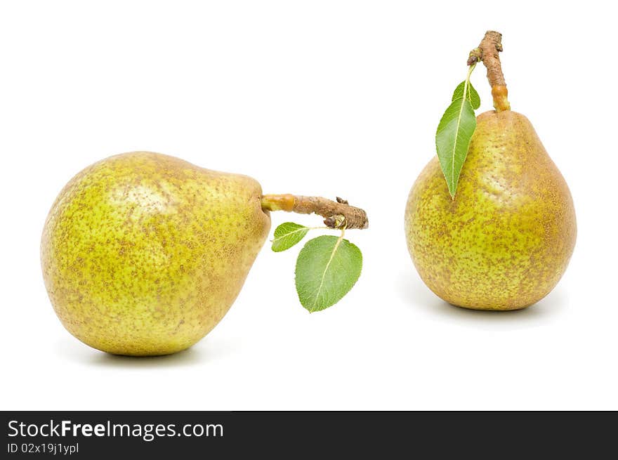 Ecological pears