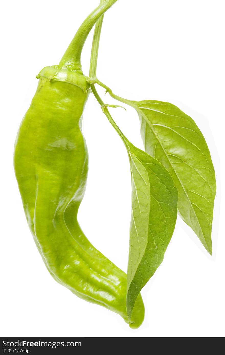 Ecological peppers isolated on white background. Ecological peppers isolated on white background