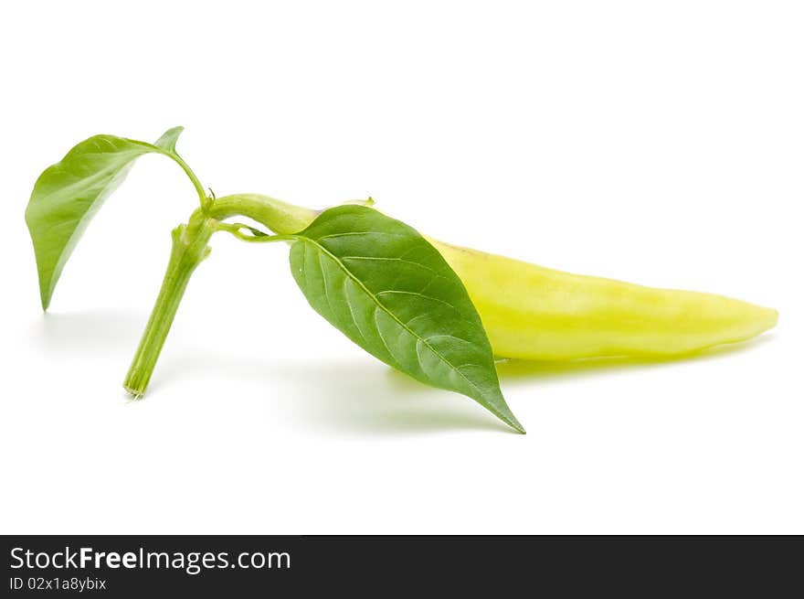 Ecological peppers isolated on white background. Ecological peppers isolated on white background