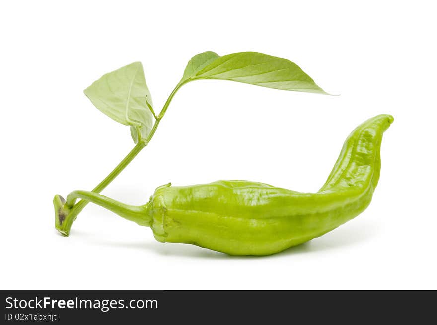 Green Pepper