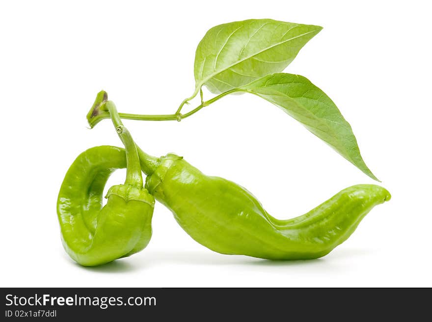 Ecological peppers isolated on white background