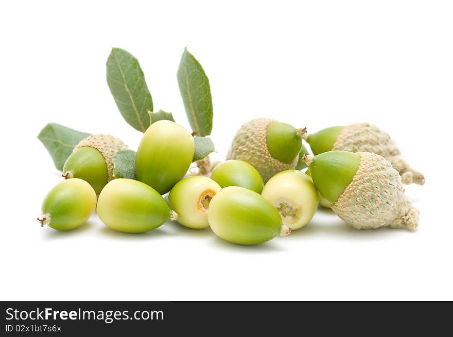 Acorns