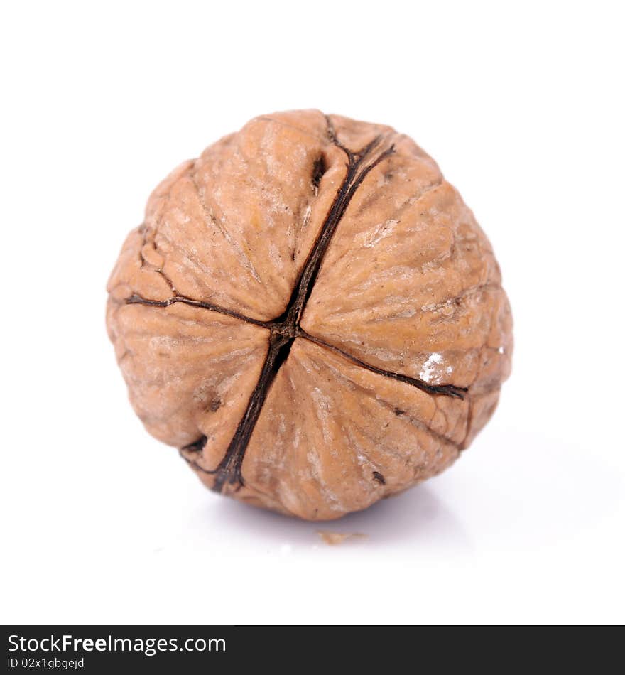 Close-up walnut on a white background