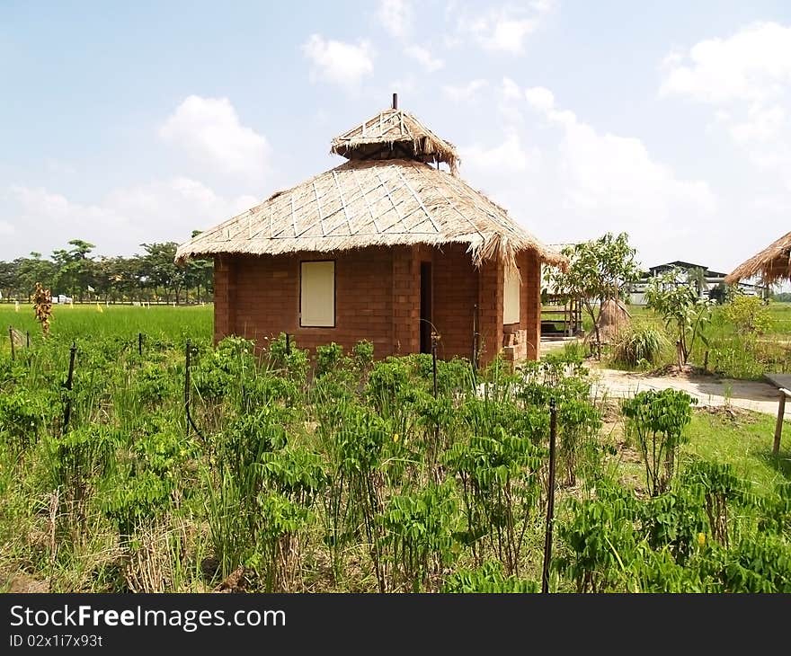 Farmer hut at Thai farm