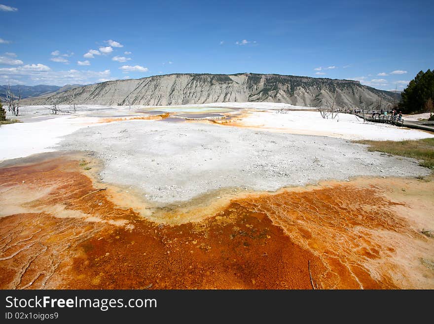 Terraces Mammoth hot spring yellow stone national park. Terraces Mammoth hot spring yellow stone national park