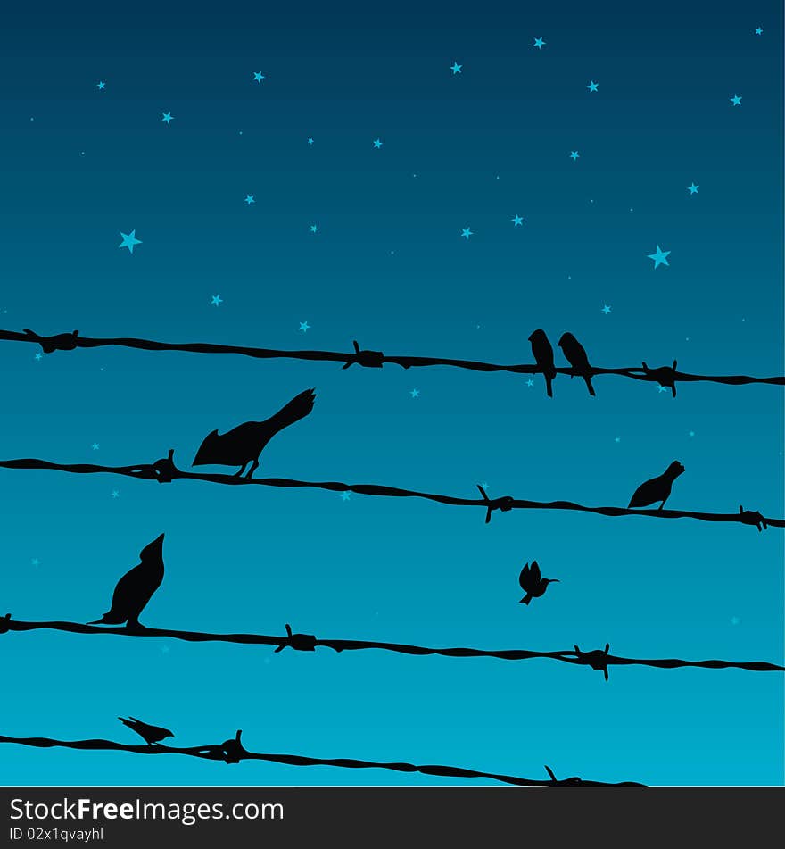 Birds On Wires